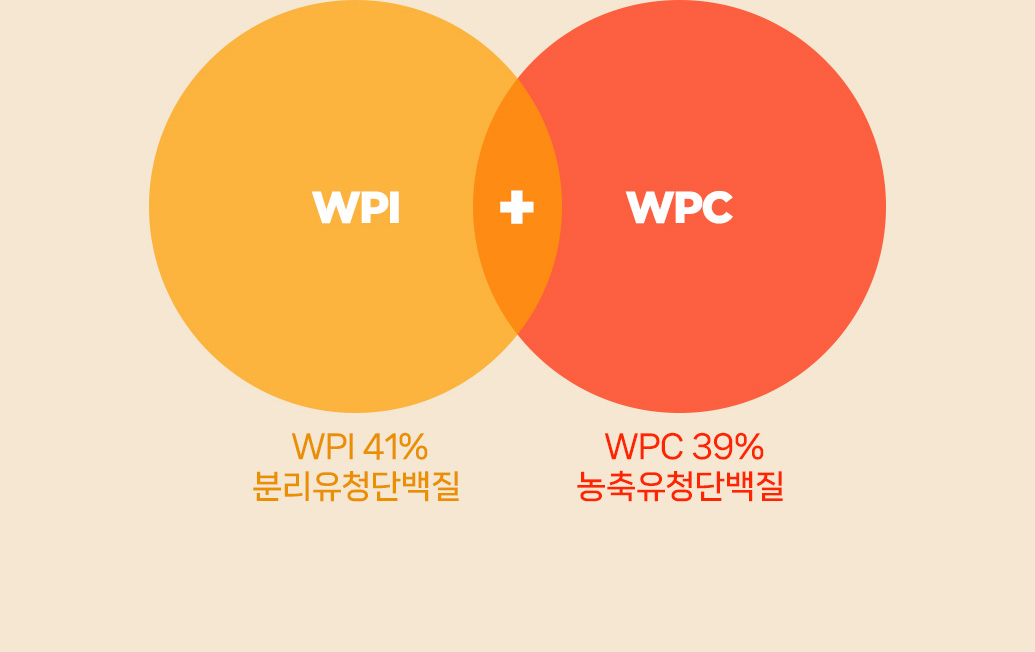 WPI와 WPC의 단백질 함량 비교 다이어그램 : WPI + WPC WPI 41% 분리유청단백질 WPC 39% 농축유청단백질